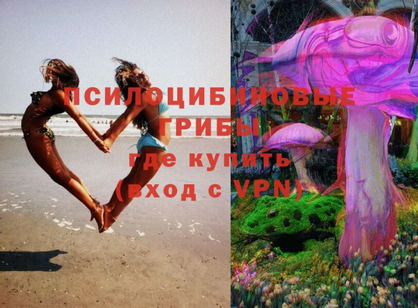 шишки Балабаново
